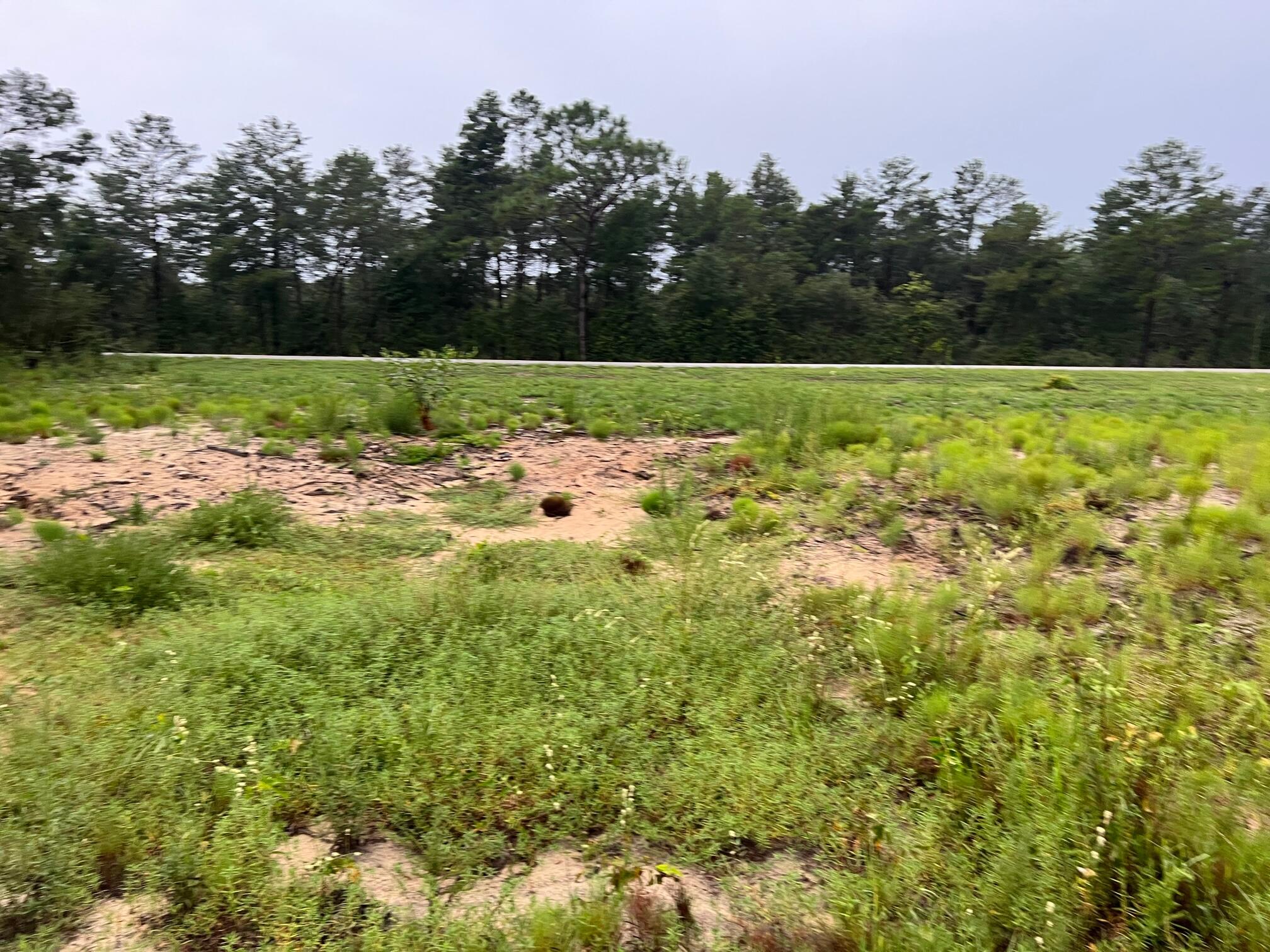 This beautiful 7.57-acre lot already cleared our has many potentials. Its zoned rural residential; Property Use Code: VACANT (0000).Seller has submitted a draft survey for the lot to be slit in three lots but not recorded.