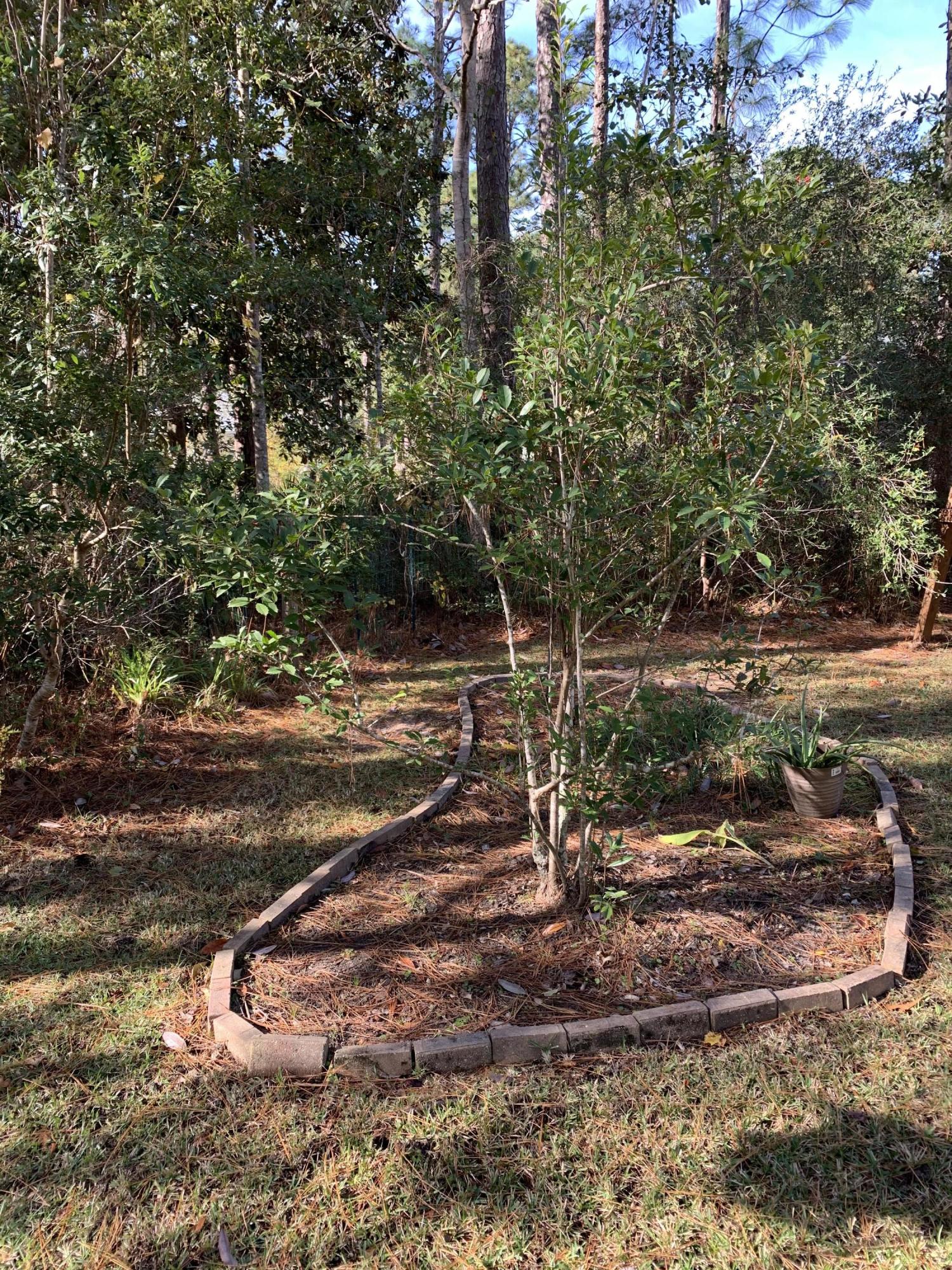 MAGNOLIA BEACH - Residential