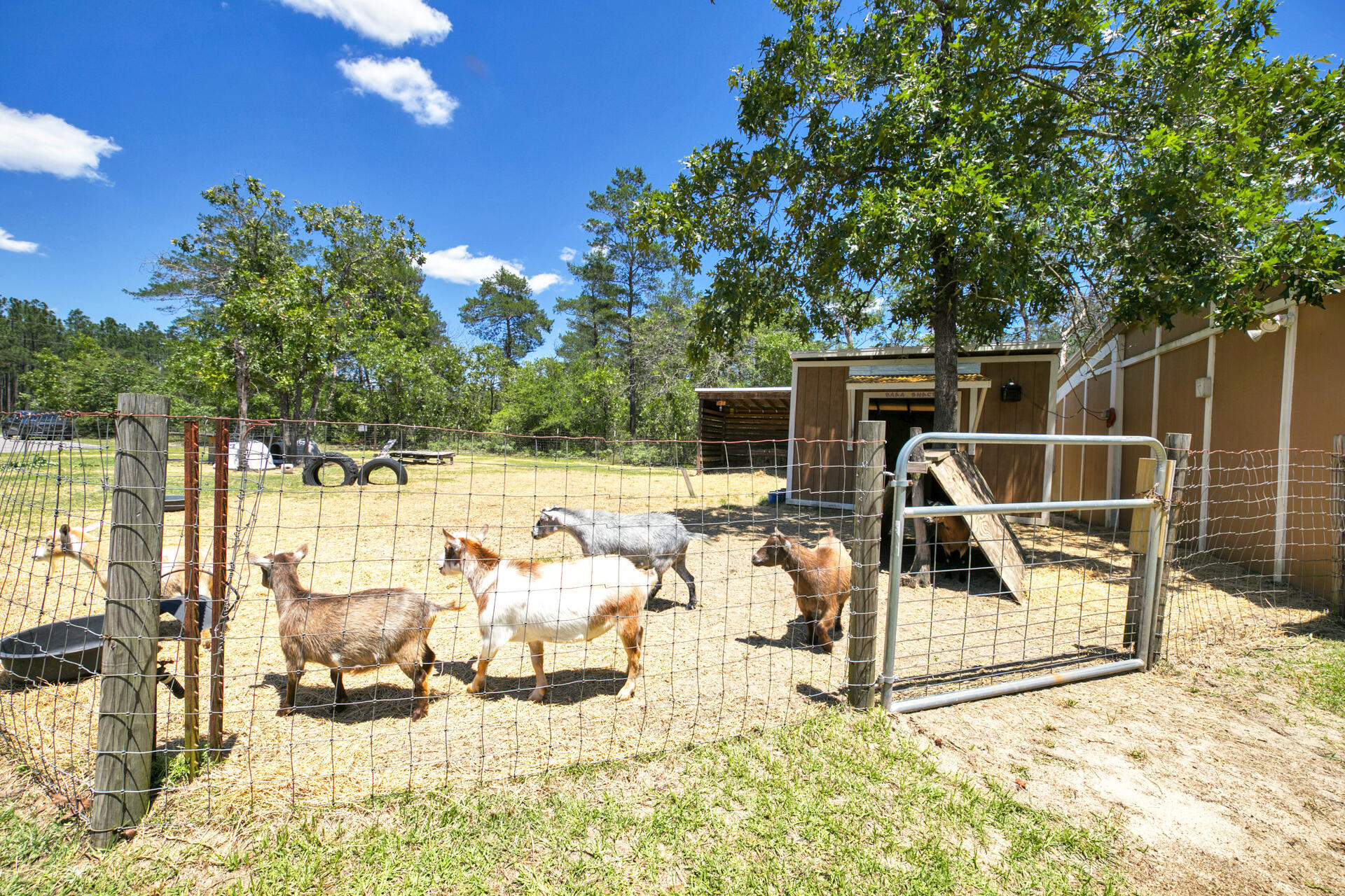 Creekwood Lands - Residential