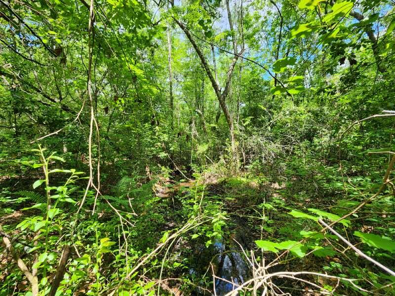 Old Jolly Bay - Land