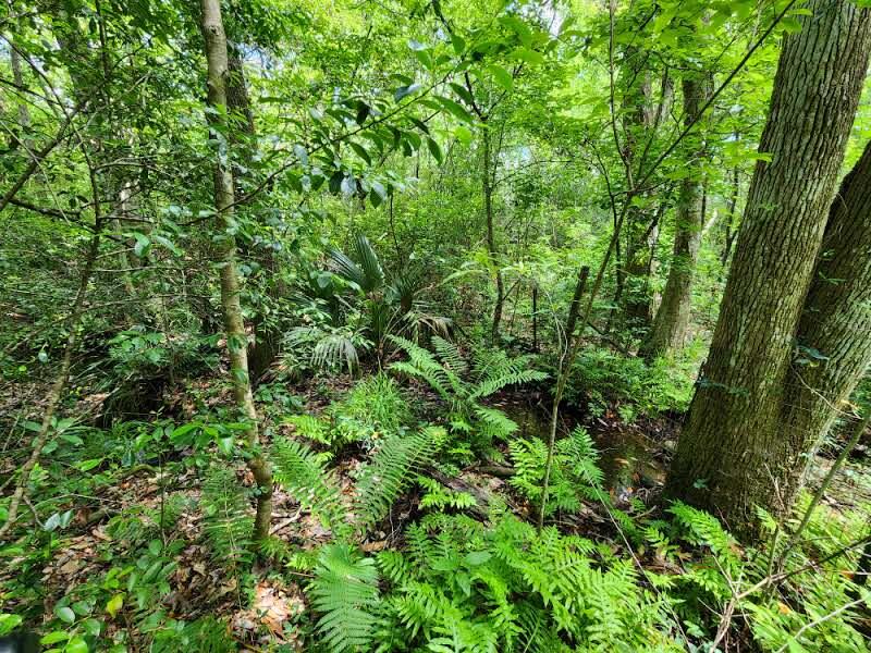 Old Jolly Bay - Land