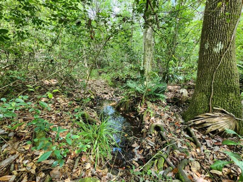 Old Jolly Bay - Land