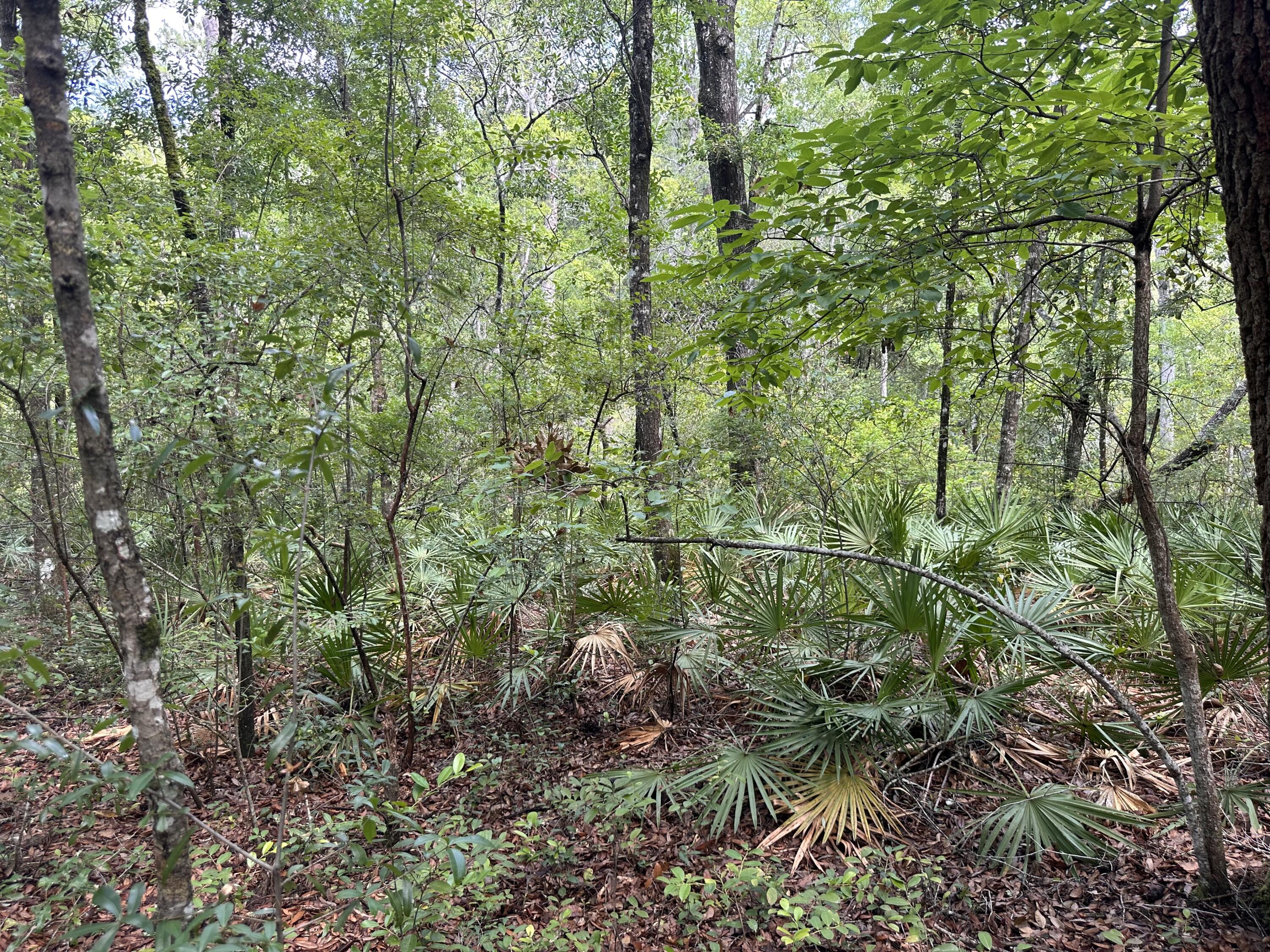 Old Jolly Bay - Land