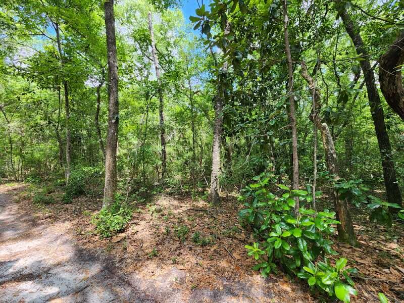 Old Jolly Bay - Land