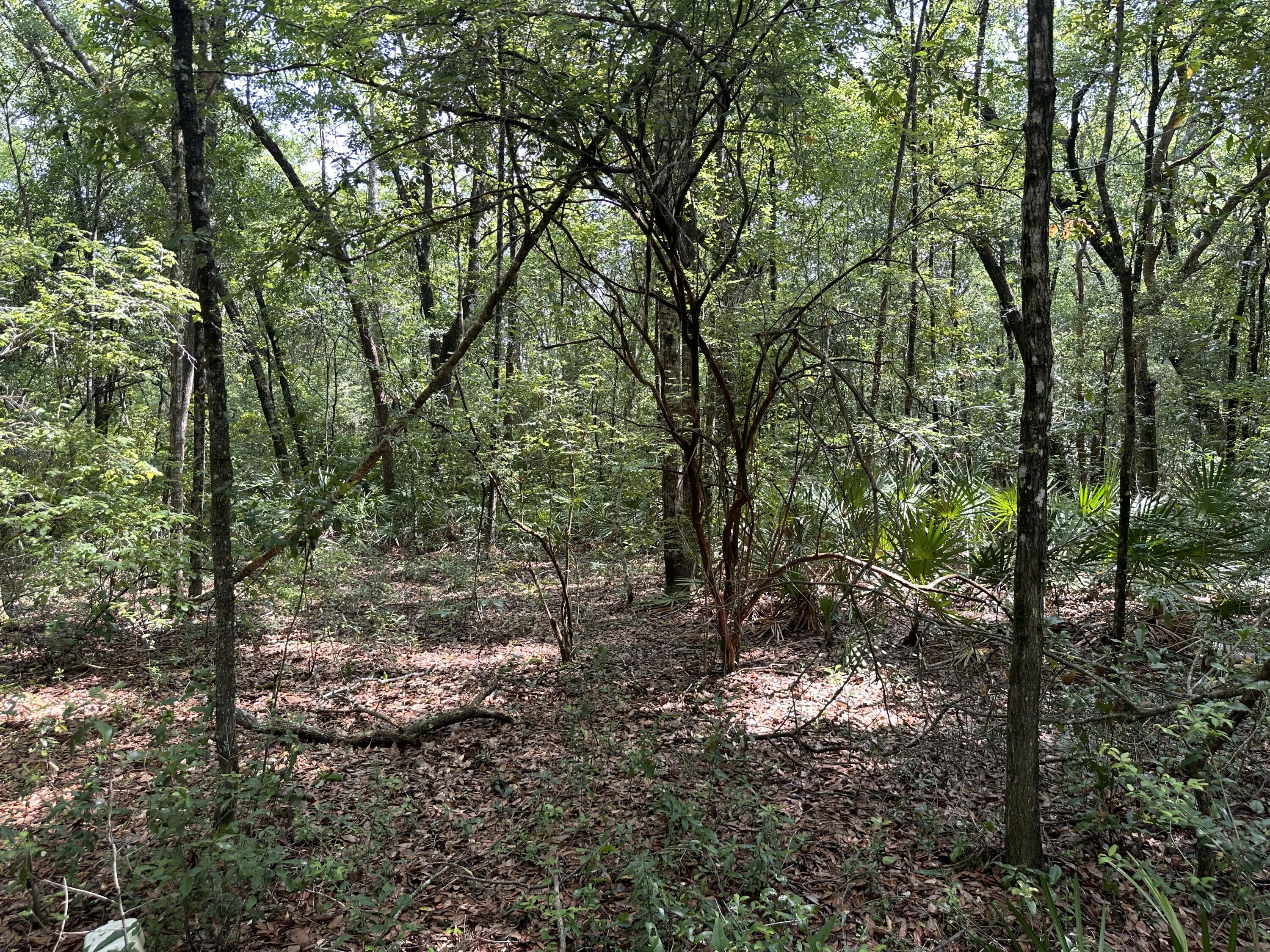 Old Jolly Bay - Land