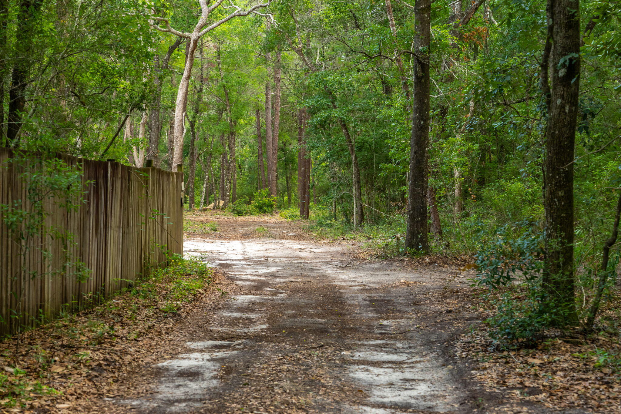 Old Jolly Bay - Land