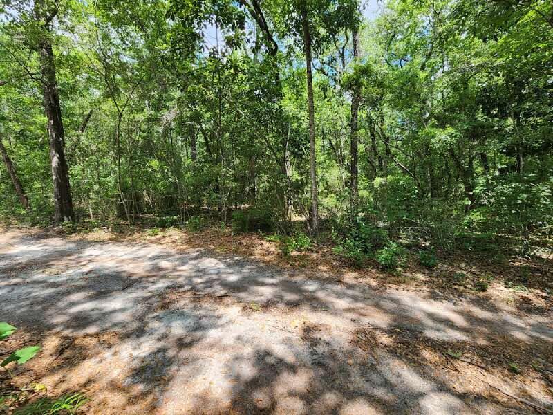 Old Jolly Bay - Land