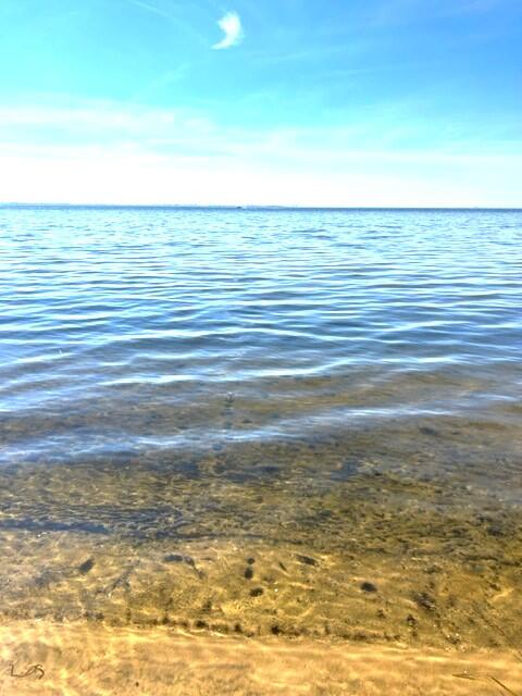 MARTINS S/D - Residential