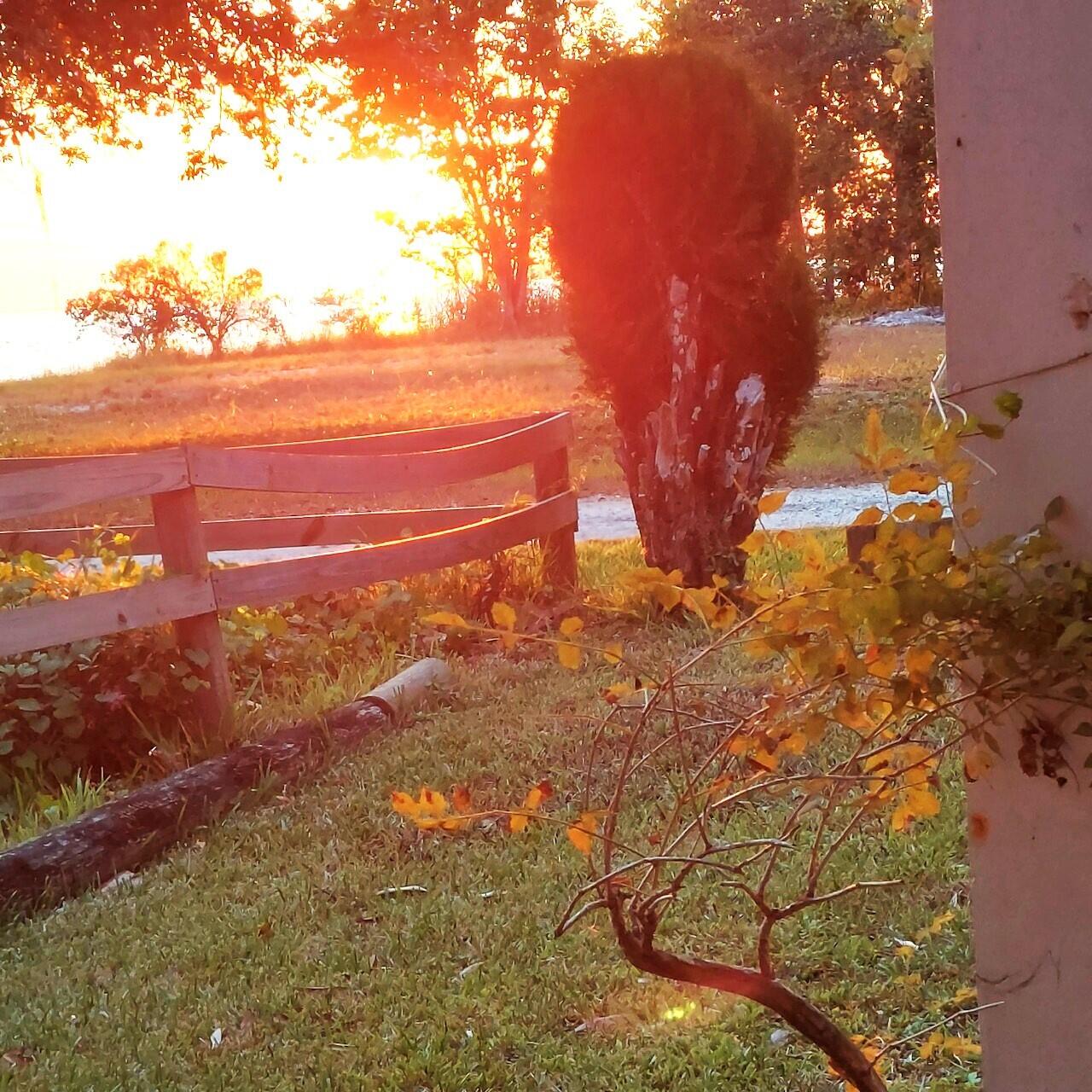 MARTINS S/D - Residential