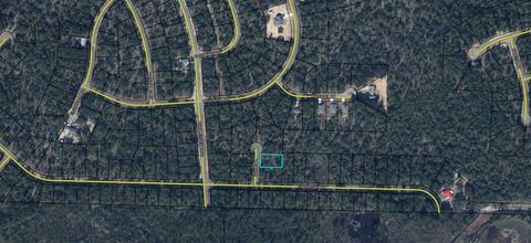 Lot 16 Sable Court Chipley FL 32428