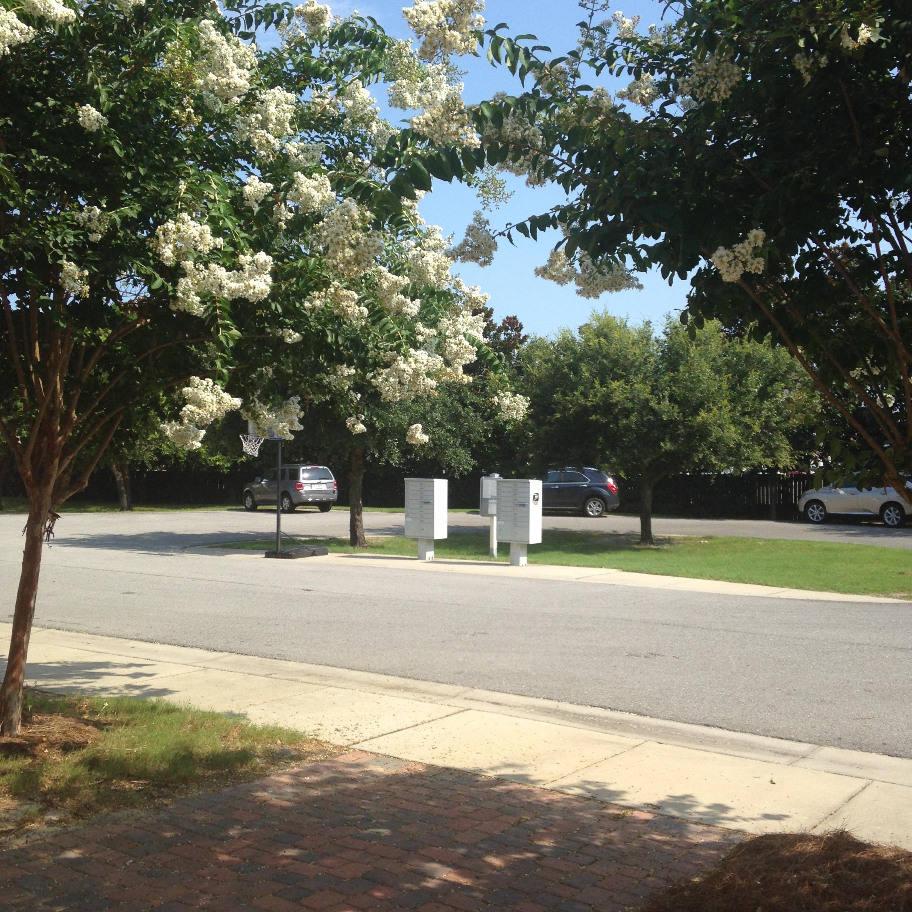 OLD BAY T/H - Residential