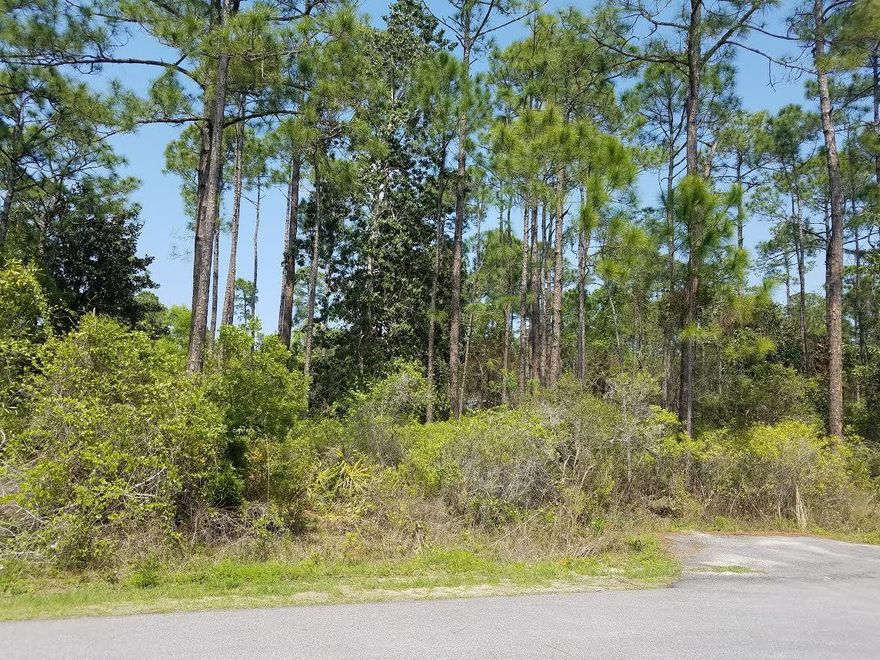 Beautiful Wooded lot, perfect to build your dream home. Near Sacred Heart Hospital, Walmart and short drive to 30A and white sand beaches.