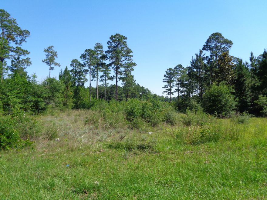 GREAT LEVEL LOT LOCATED IN LAKE ROSEMARY COURT ESTATES. LOT OFFERS OVER 120 FT ON THE WATER, PAVED ROAD, AMAZING VIEWS AND HAD PREVIOUS BEEN CLEARED AND MAINTINED SO WILL REQUIRE MINIMAL WORK TO HAVE THIS LOT READY TO BUILD YOUR DREAM HOME OR MOBILES ARE ALLOWED. GREAT PRICE FOR WATERFRONT IN GROWING DEFUNIAK SPRINGS!