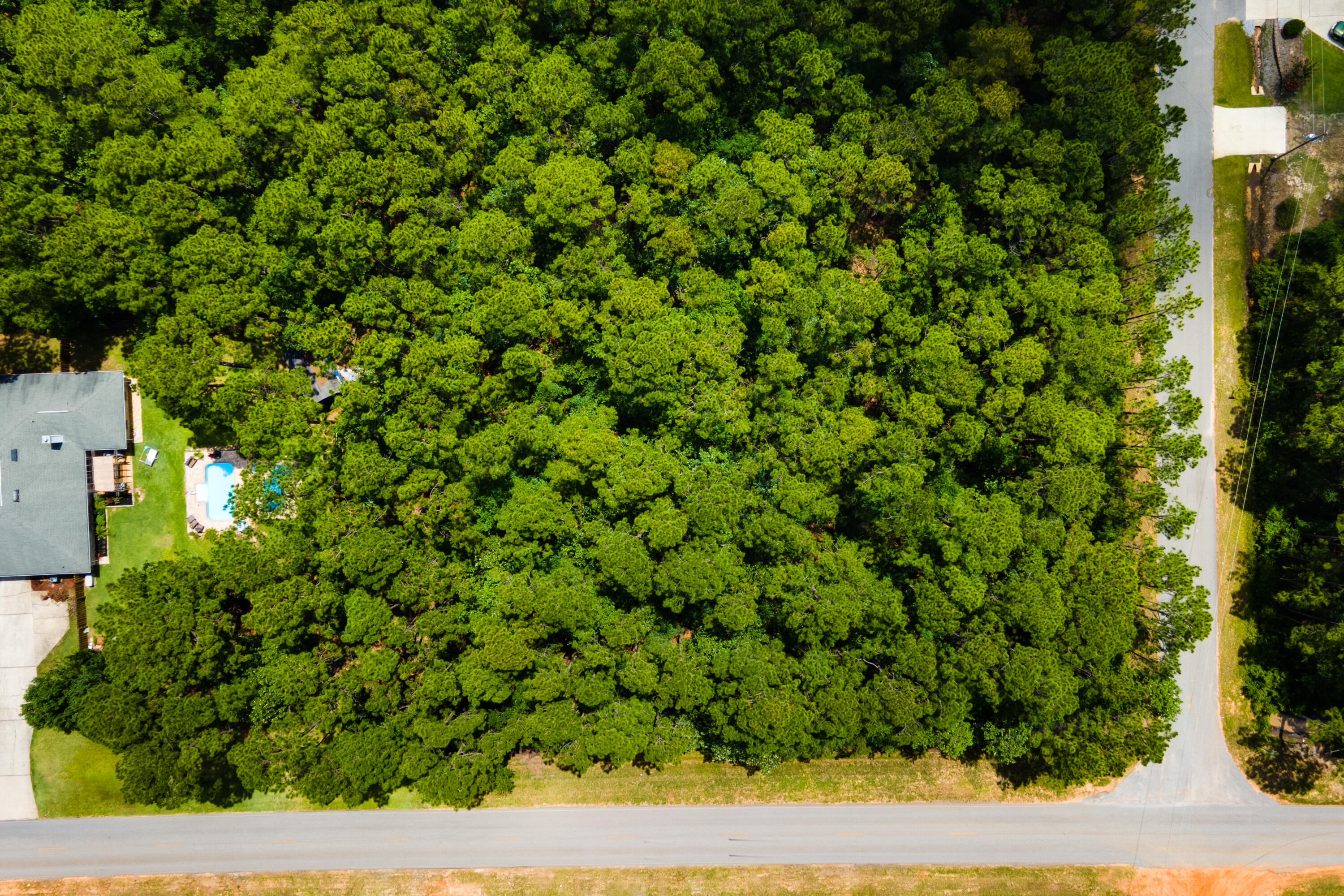 HOLLEY BY THE SEA - Land