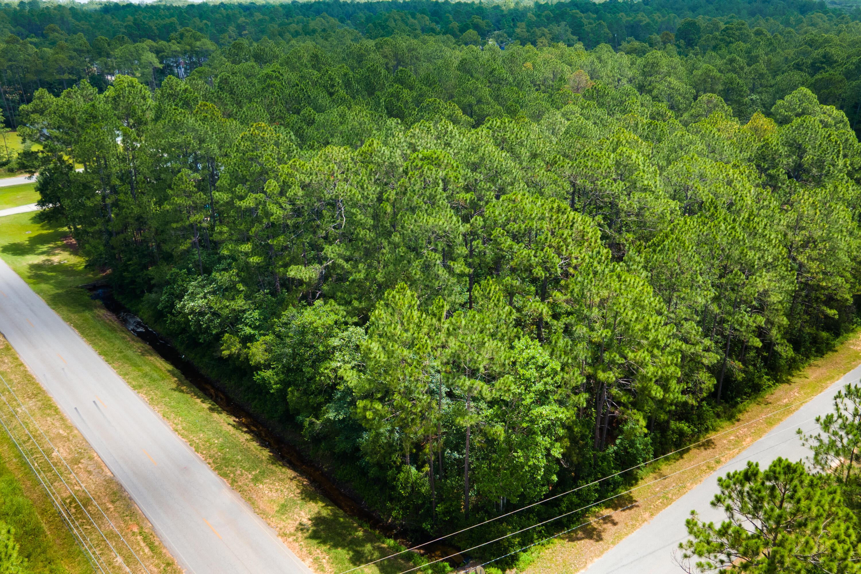 HOLLEY BY THE SEA - Land