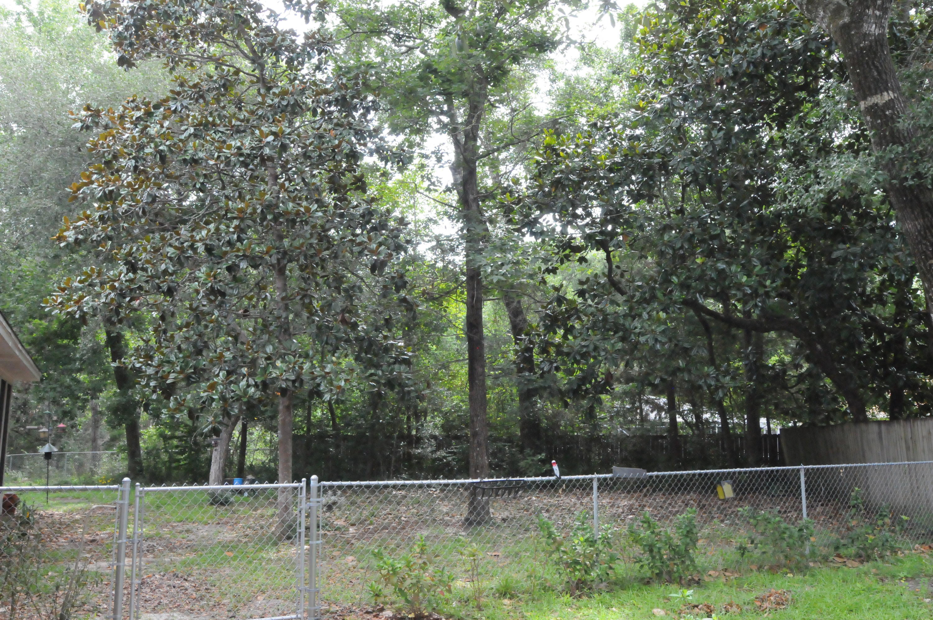 SHADOW OAK S/D - Residential