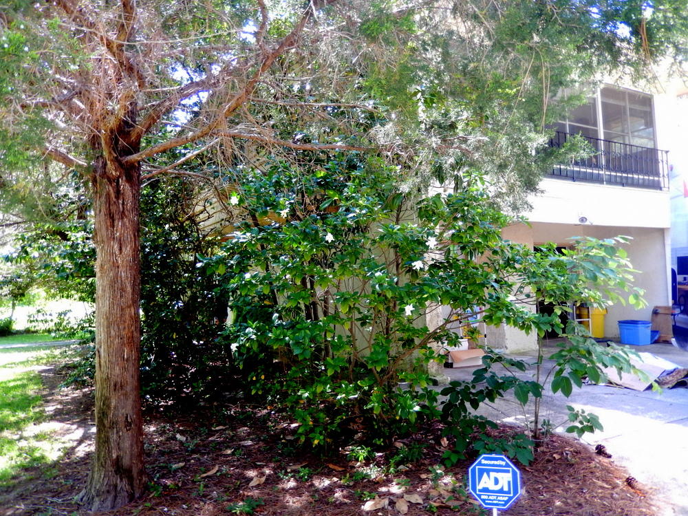 BAYOU POQUITO - Residential