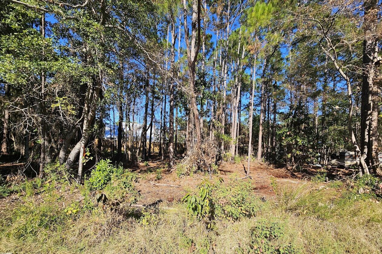 Shadow Estates - Land