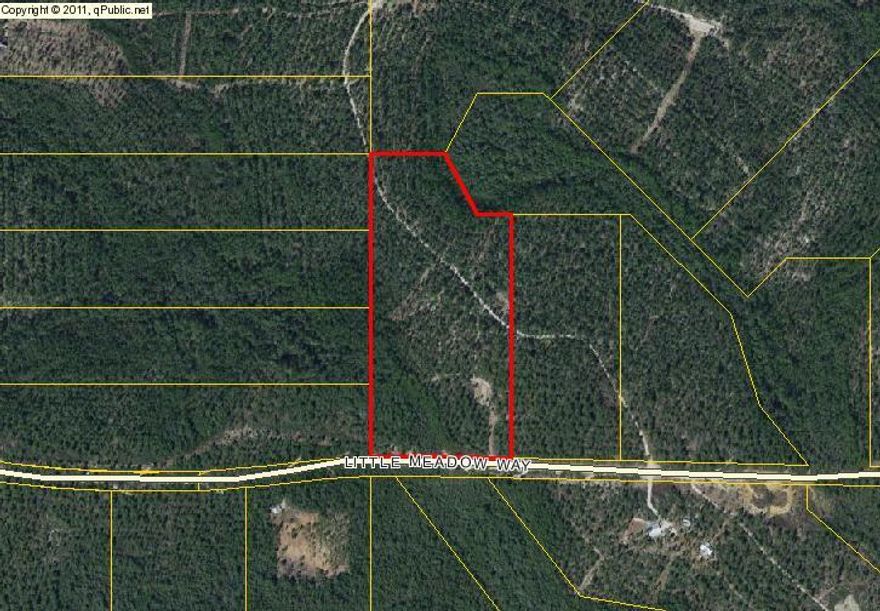 Beautiful partially cleared lot located in a perfect location. If you love to hunt, fish or just have a place to own that gives you access to 3000 acres for recreational use and appropriately 20 miles of roads to ride ATVs or horses. This is a wonderful opportunity to get away and enjoy the county.
