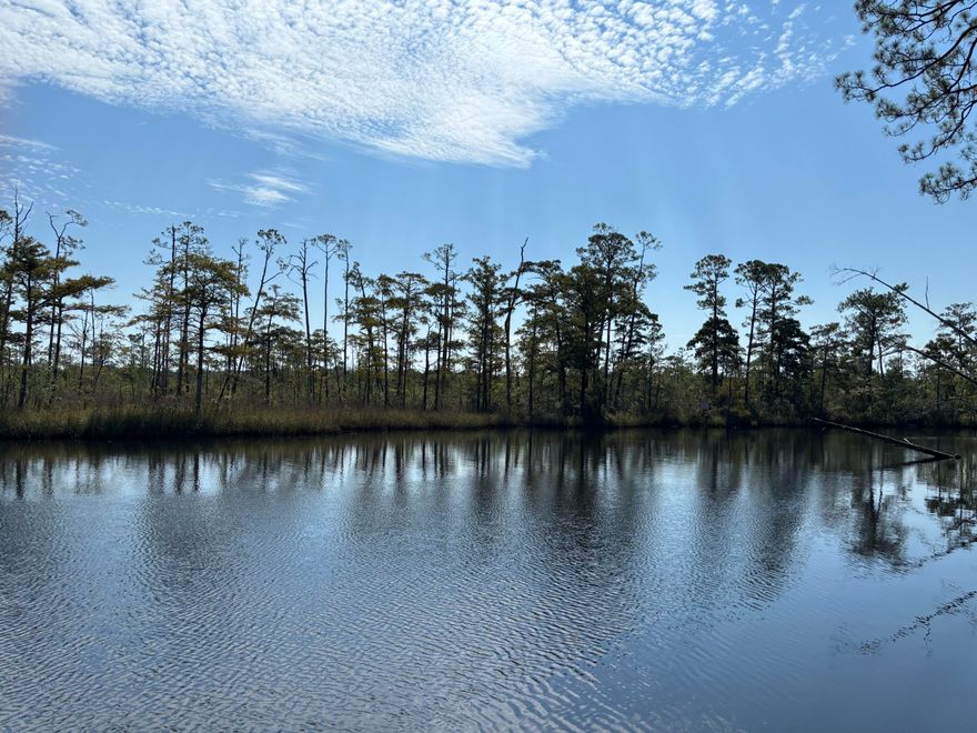 Outside enthusiasts Paradise- you can kayak from Portland Park Launch to your lot. The sky is the limit when your imagination is wild.