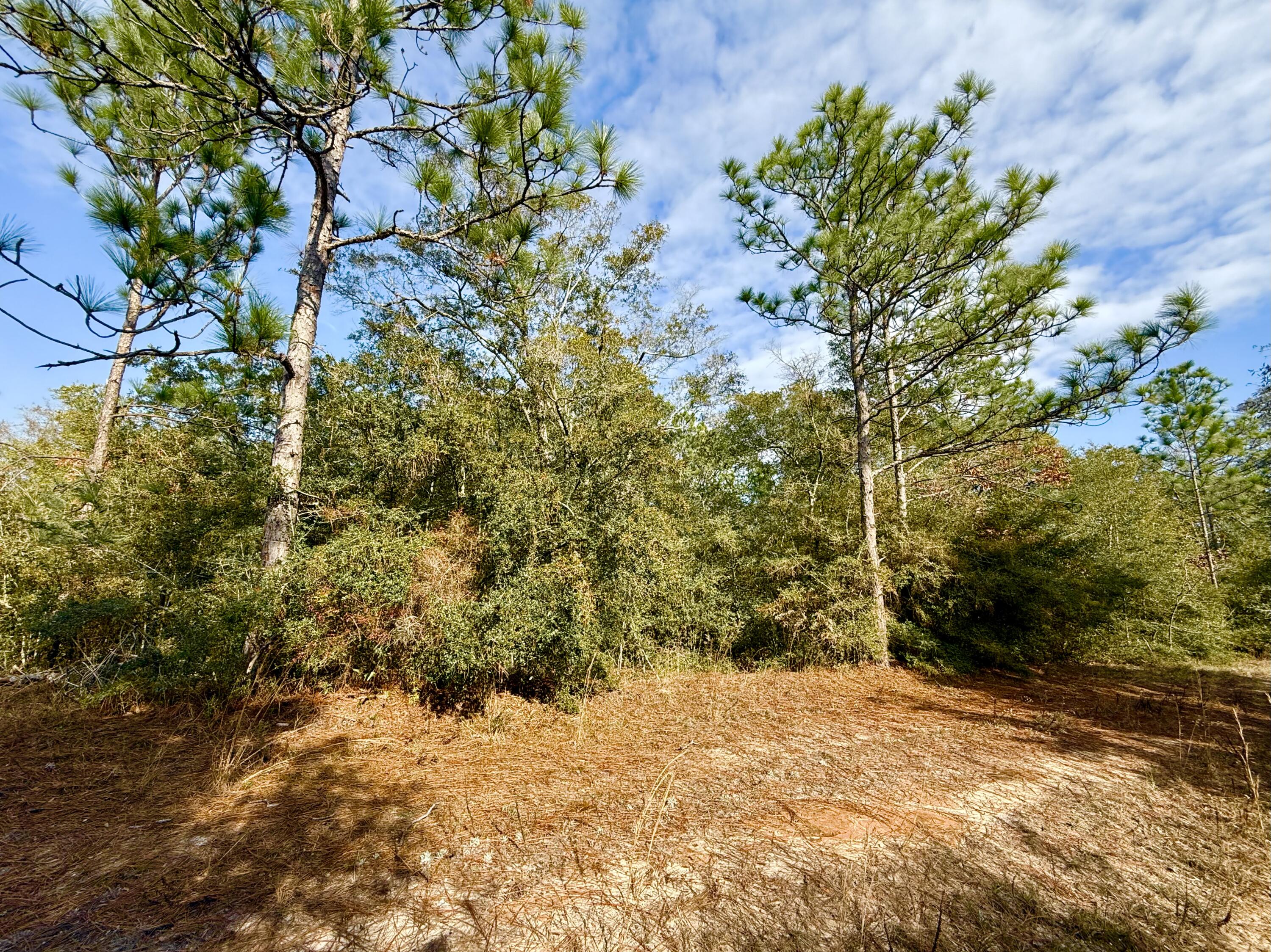 N JUNIPER LAKE ESTATES UNIT 6 OF OAKWOOD HILLS - Land