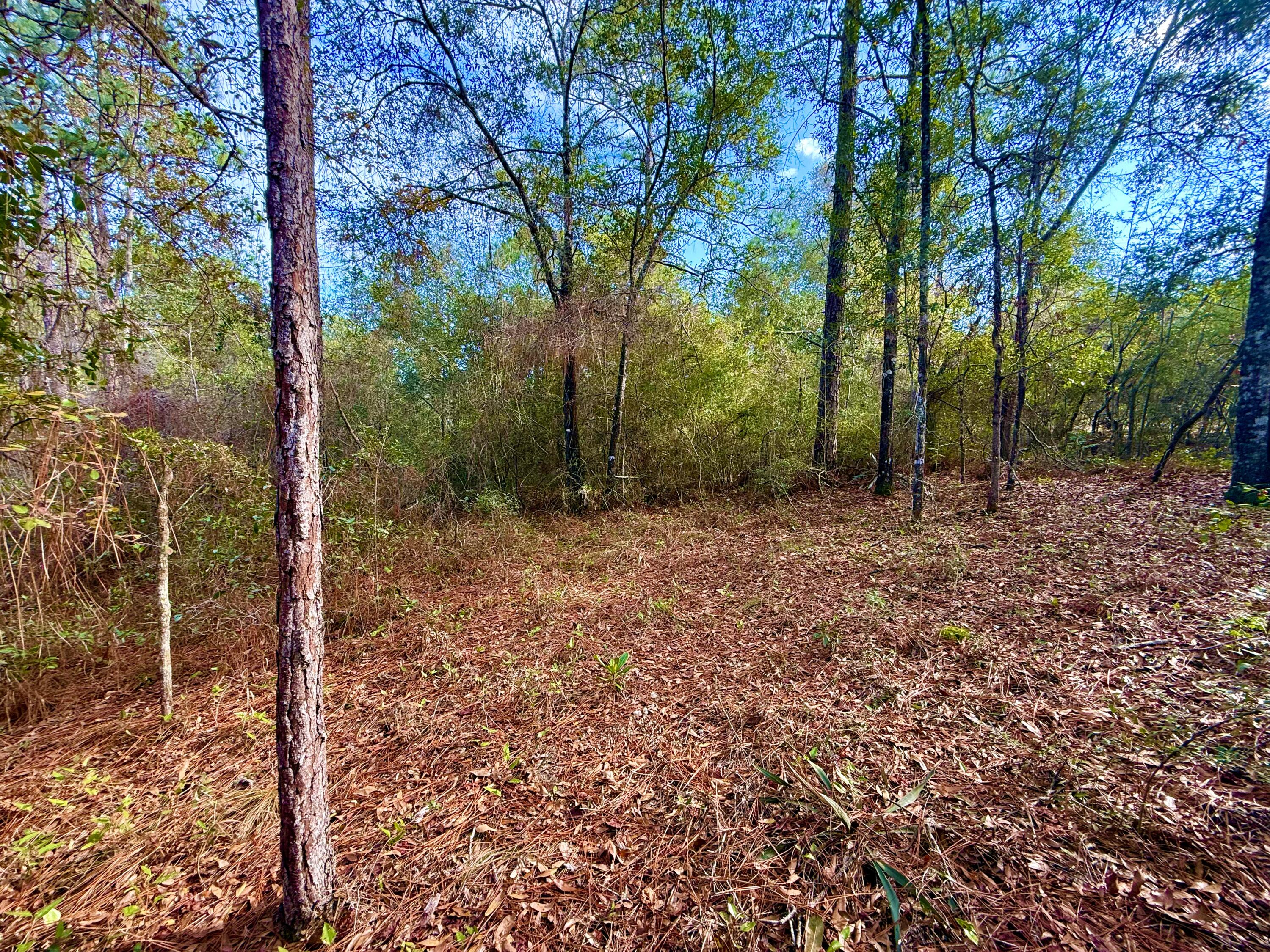 N JUNIPER LAKE ESTATES UNIT 6 OF OAKWOOD HILLS - Land