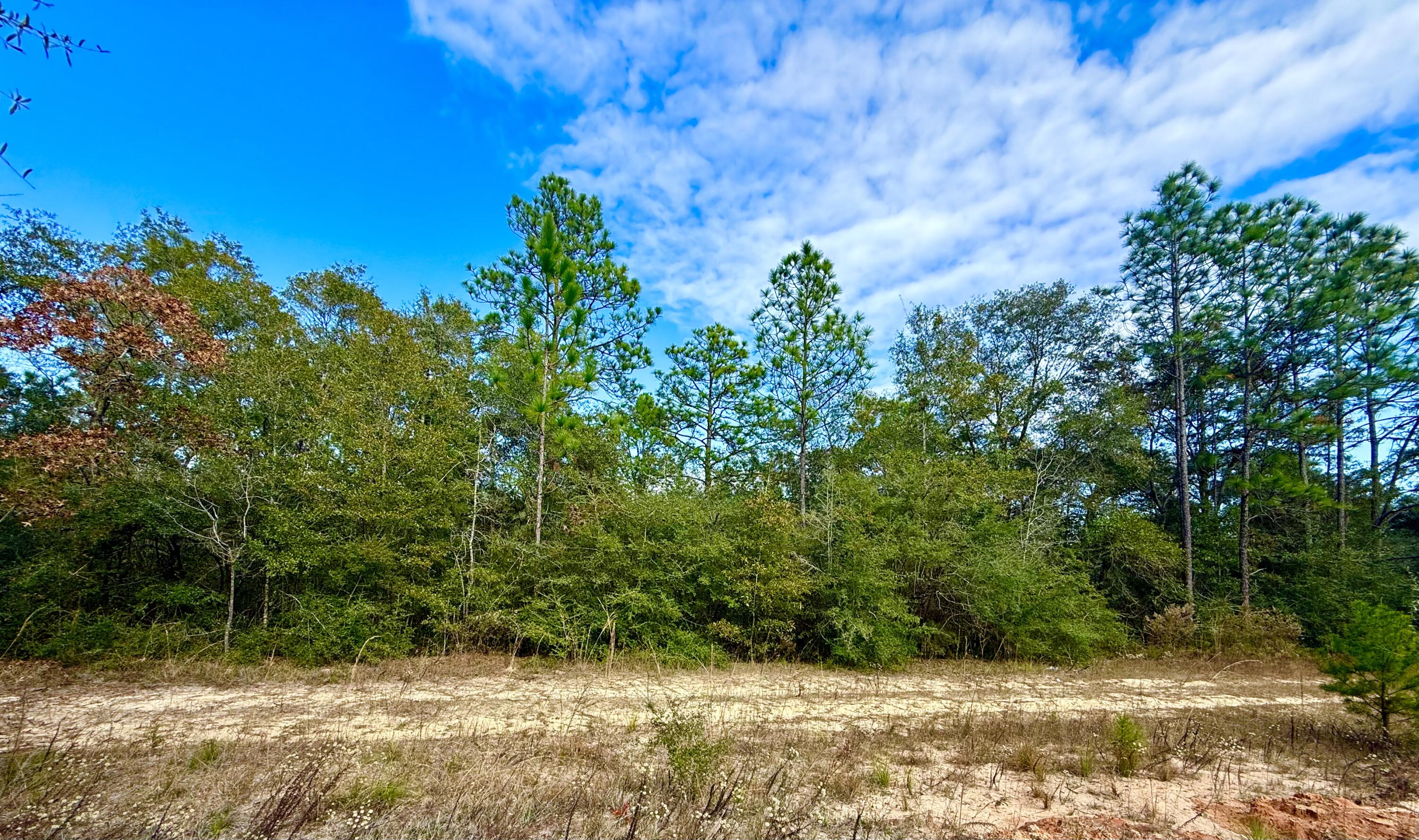 N JUNIPER LAKE ESTATES UNIT 6 OF OAKWOOD HILLS - Land