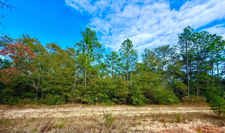 A surprising find just 5 miles from downtown DeFuniak Springs and located outside the city limits, this lot is ideal for your new build--whether you're envisioning a cozy cabin in the woods or a full-time residence. It offers the opportunity to create a peaceful retreat you wouldn't expect to find so close to town.  City water is available (tap fee unpaid), and a septic system would be required. This property is Flood zone X.This is the kind of place where you can sit back, relax, and enjoy the serenity of a quiet, natural setting. The property offers peace of mind and ease of development in a serene yet highly accessible location, just minutes from shopping, dining, medical facilities, and schools.  Enjoy easy access to I-10, making it n excellent location for commuting in any direction, with most workplaces reachable within approximately 30-45 minutes. Juniper Lake, along with local public boat docks and a nearby park, is conveniently located about 2 miles away. Plus, you're approximately 35 miles from the beautiful turquoise water & white-sand beaches of Florida's famous Emerald Gulf Coast, including 30A and the majestic Crab Island.

Buyer needs to verify building codes, zoning regulations, wetlands and flood zones, etc with proper local authorities to ensure buyer will be able to utilize the property for intended use. Information contained within this listing is deemed to be accurate, but is not guaranteed.