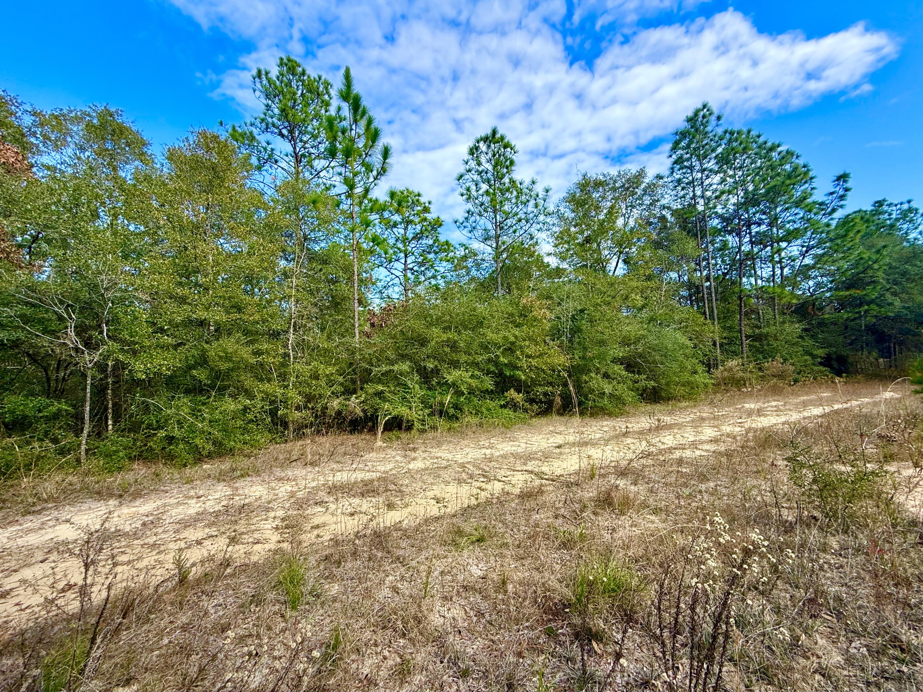 N JUNIPER LAKE ESTATES UNIT 6 OF OAKWOOD HILLS - Land