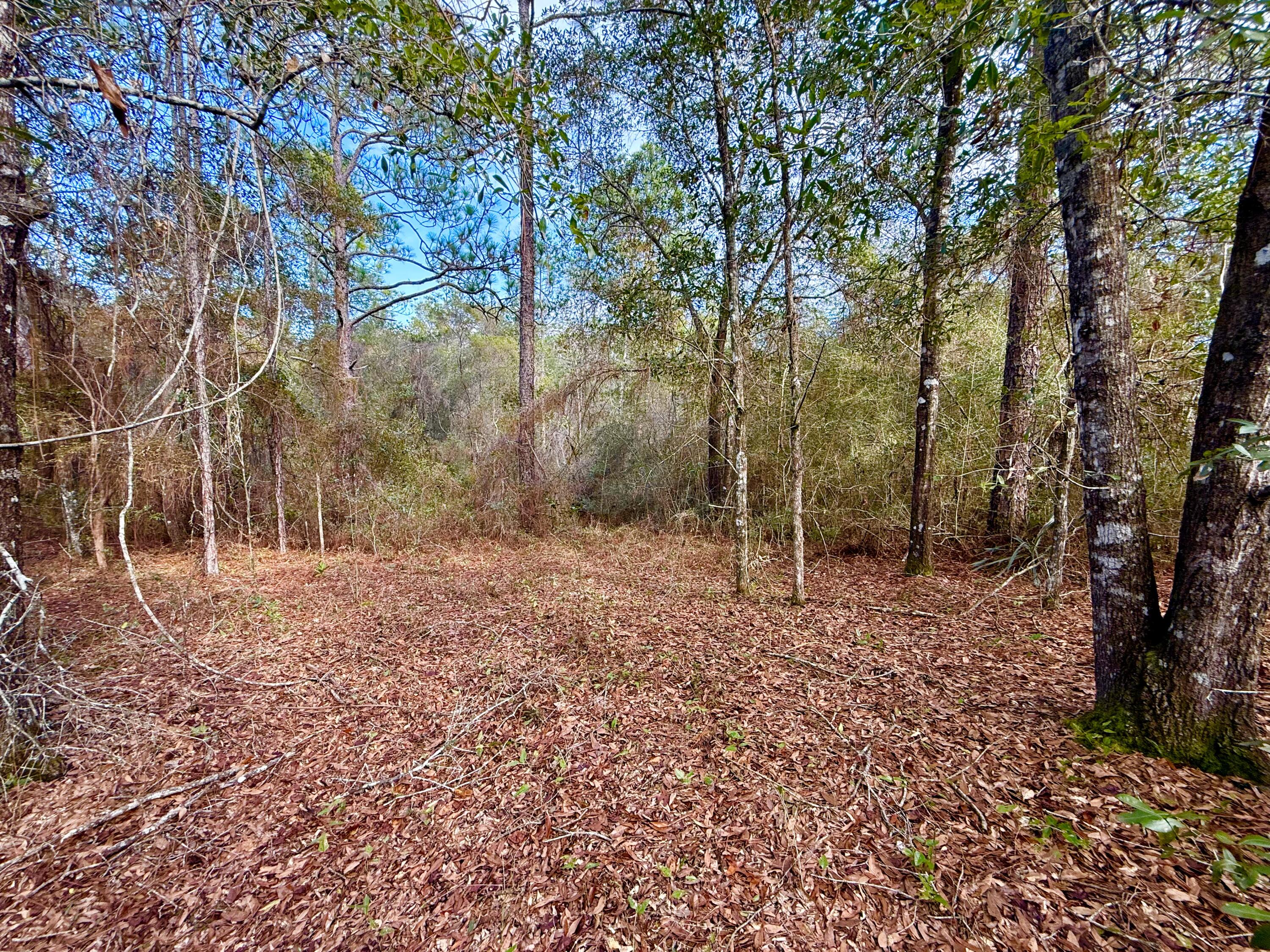 N JUNIPER LAKE ESTATES UNIT 6 OF OAKWOOD HILLS - Land