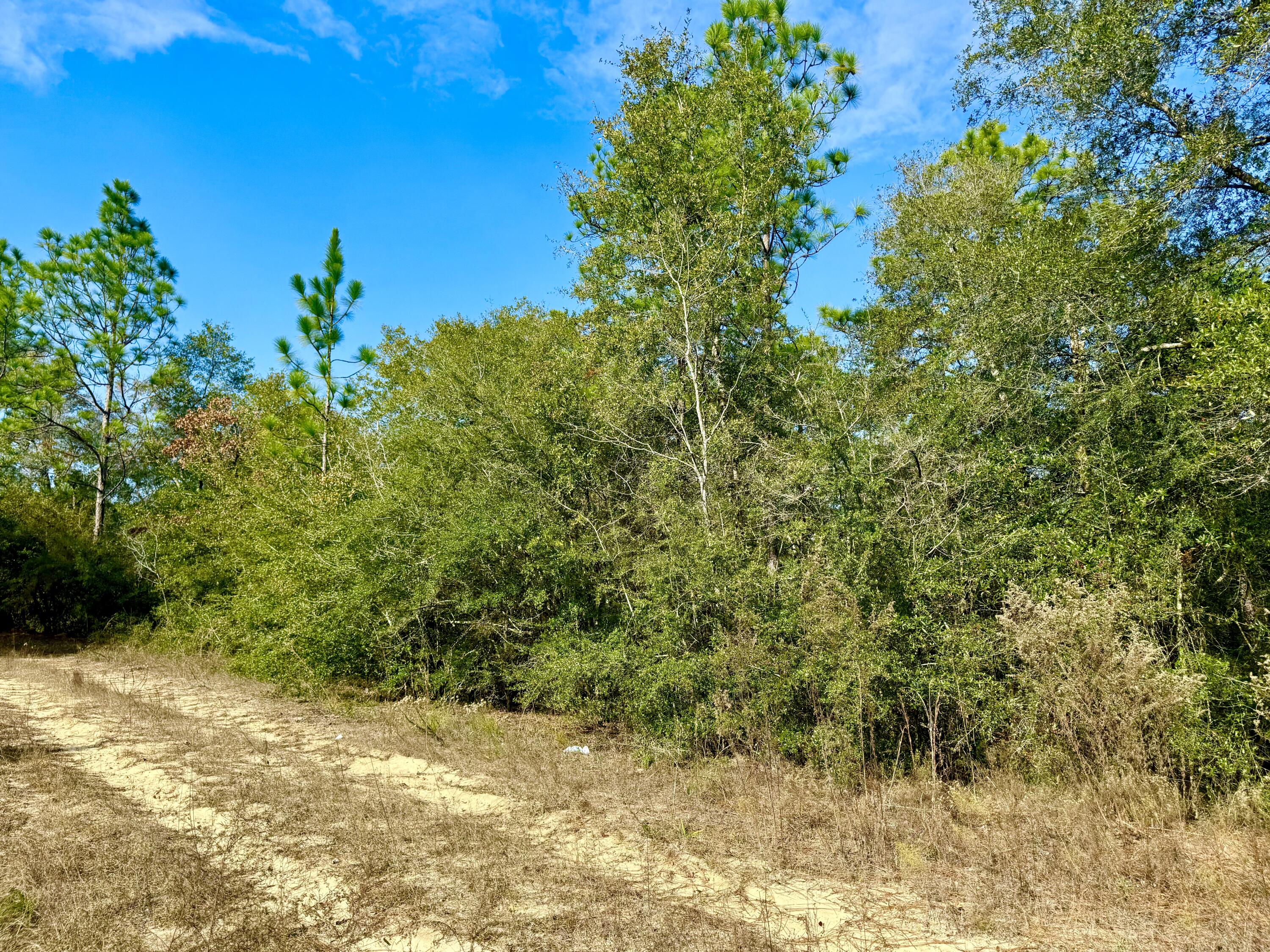 N JUNIPER LAKE ESTATES UNIT 6 OF OAKWOOD HILLS - Land