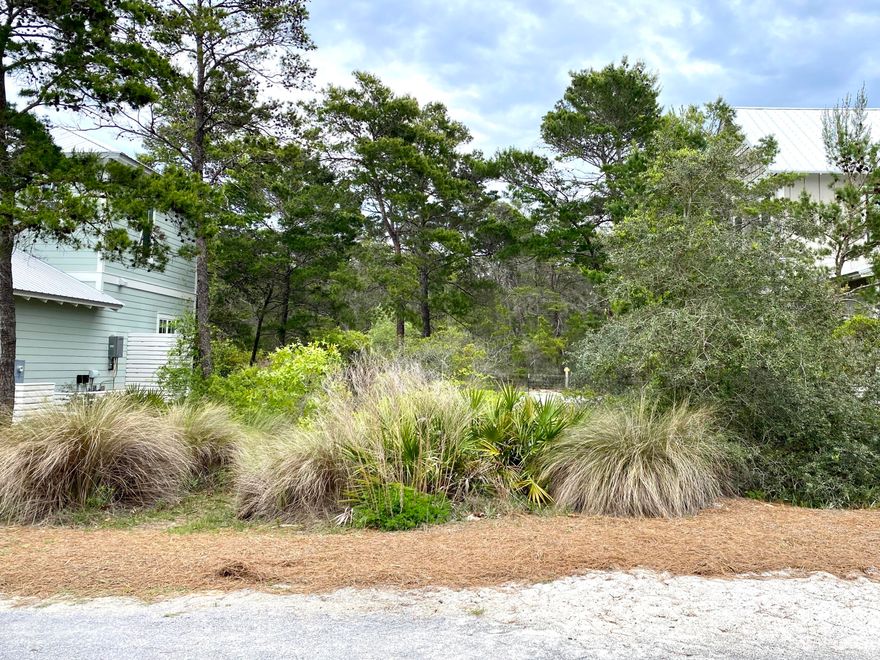 Build your beach home on this perimeter vacant parcel backing up to the state park providing a private setting. This property is dry, flat and deeper than most lots in the neighborhood, in addition it is one of the highest elevations in Lakeside. This available lot is in the gated section of Lakeside, and the orientation of the parcel is West facing, which provides the ability to watch the beautiful sunsets from your front porch. With the wind out of the South, you will also enjoy the sounds of the waves crashing from your own home. Lakeside at Blue Mountain Beach is a charming neighborhood and very popular for full time residents, second homes, and income producing properties. There are state parks on the North and East side of the neighborhood containing miles of trails for biking and