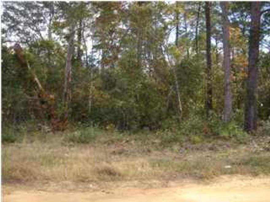 Build a small home or place a manufactured home here. It is convenient to our white sand beaches, Eglin AFB, the EOD school, and 7th Special forces. This lot has had a mobile home on it. The septic system is not thought to be functional. Public water is available at the street as is electricity.