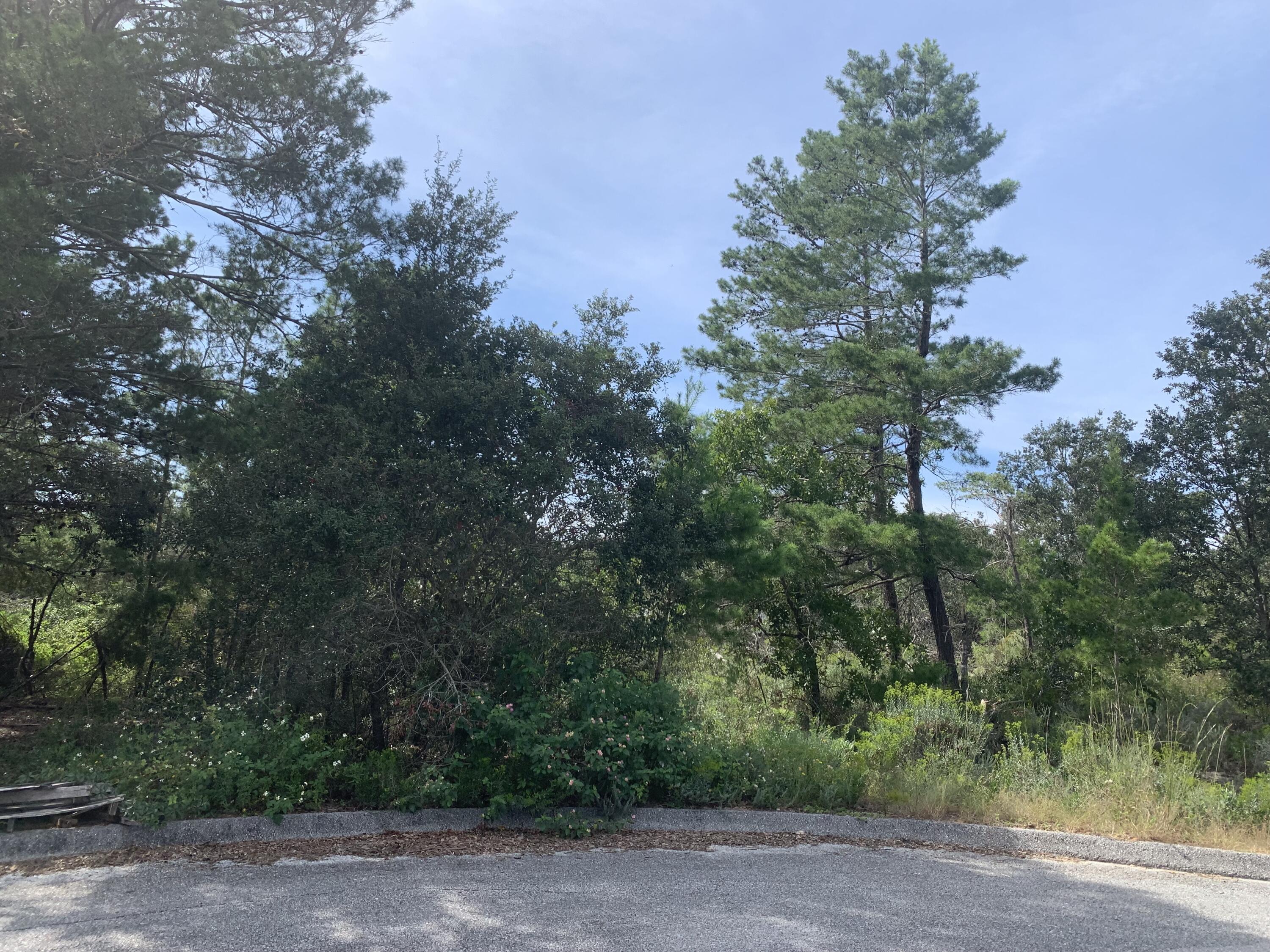 BARBAROSA RANCHETTES 1ST ADDN - Land