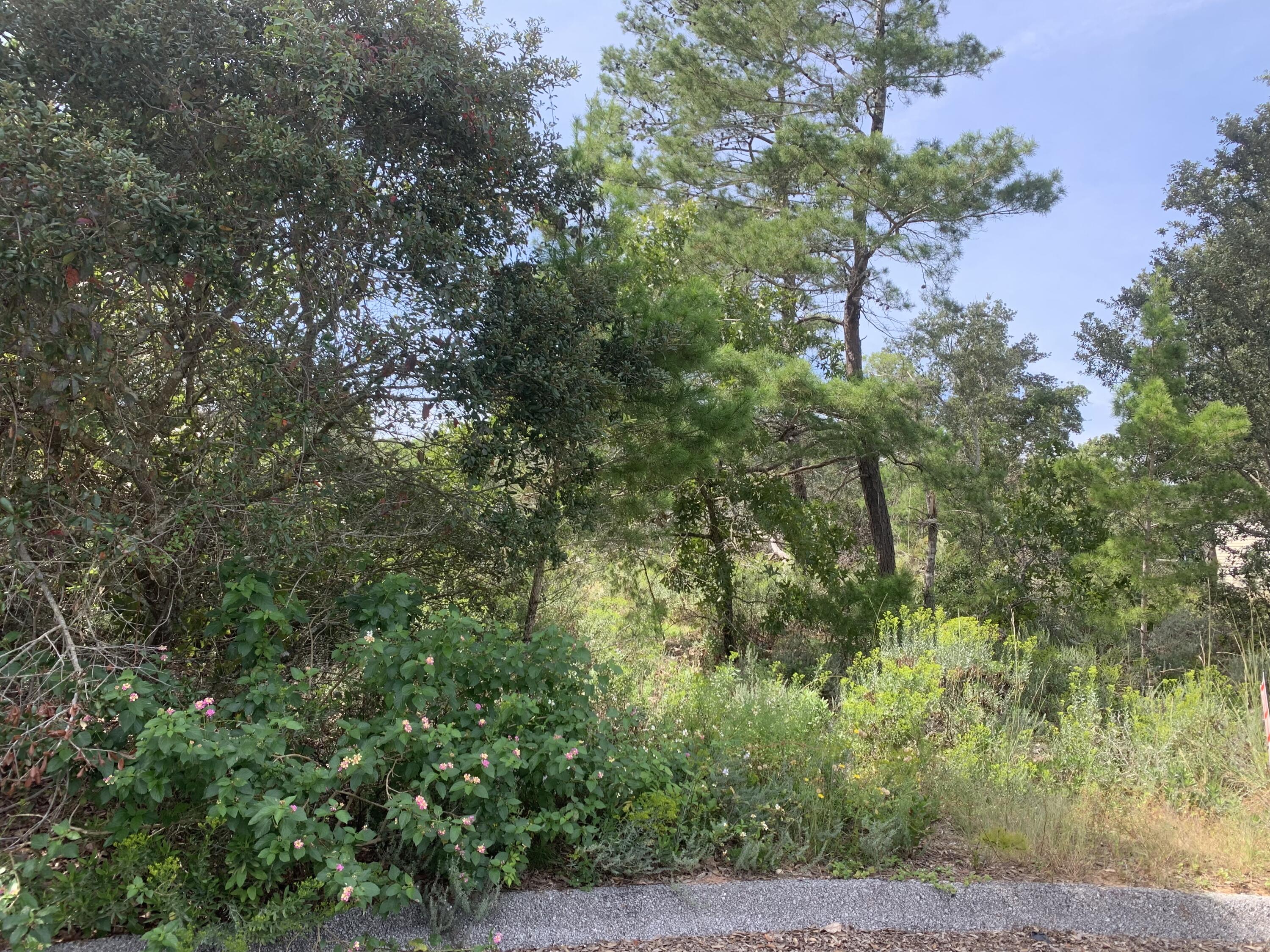 BARBAROSA RANCHETTES 1ST ADDN - Land