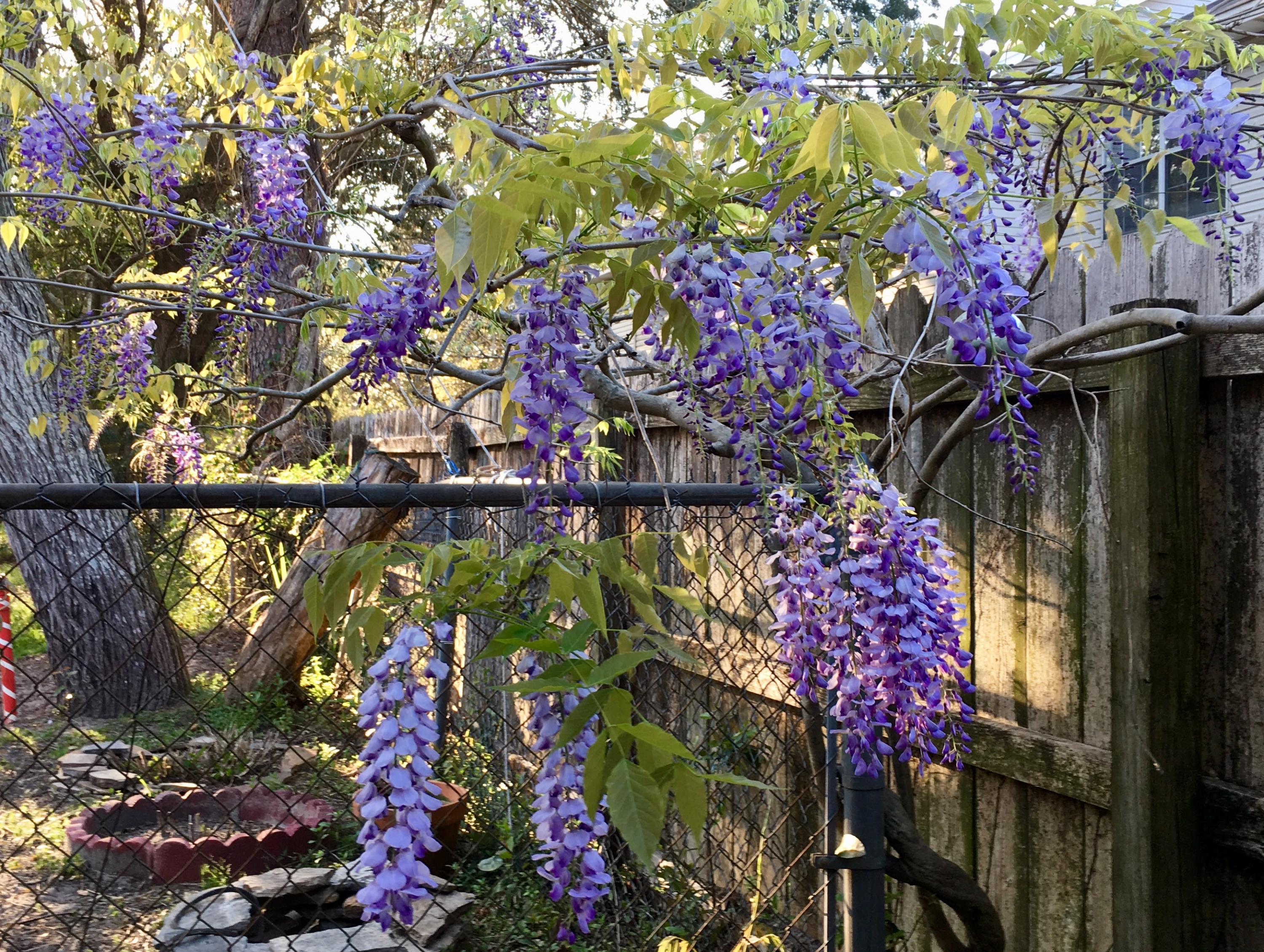 RACETRACK ROAD 1ST - Residential