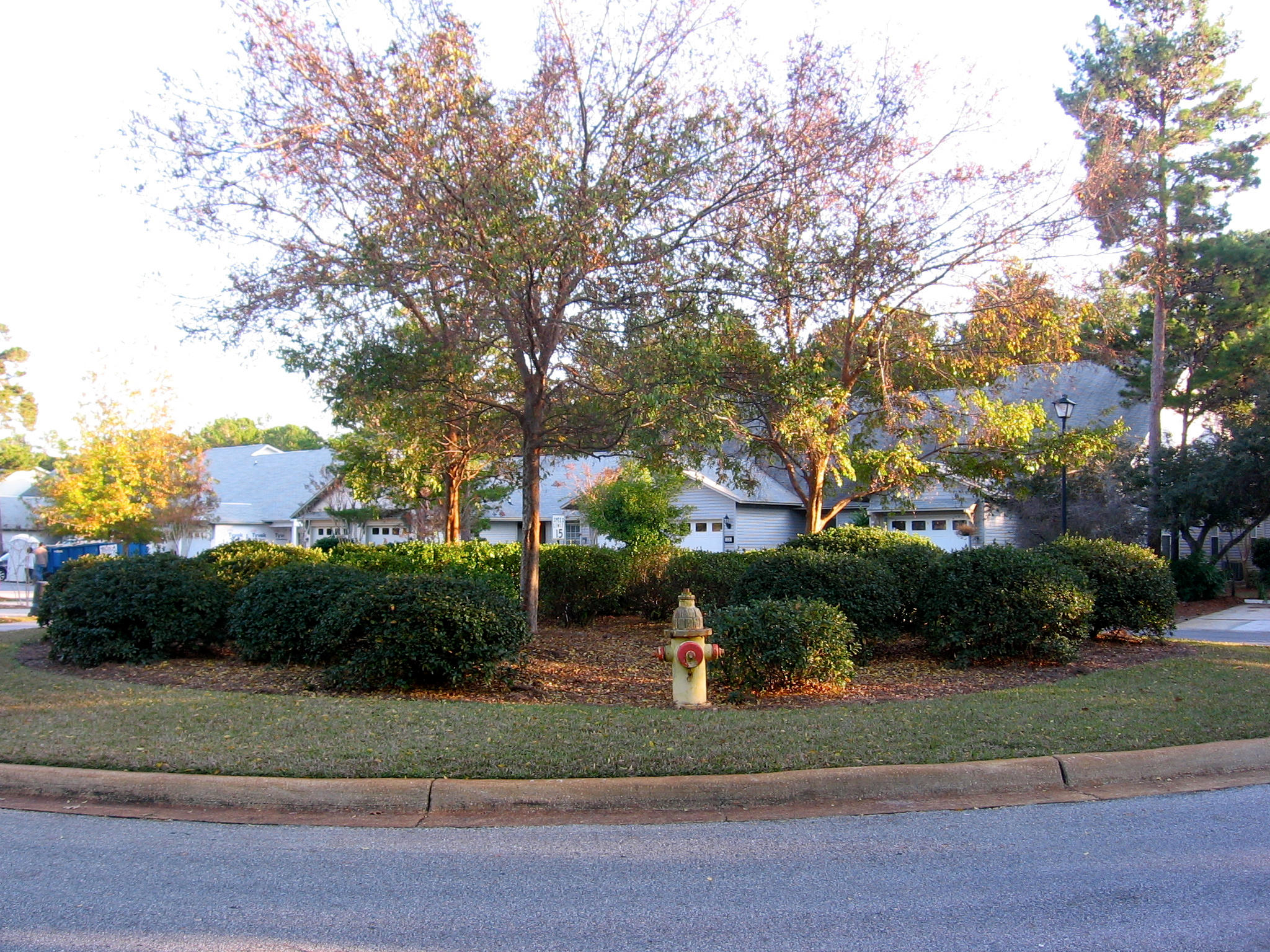 ESCADA - Residential