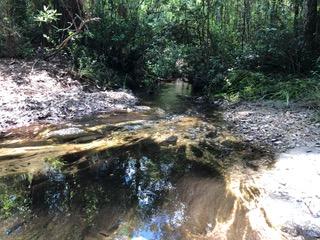 Yellow River Ranches - Land