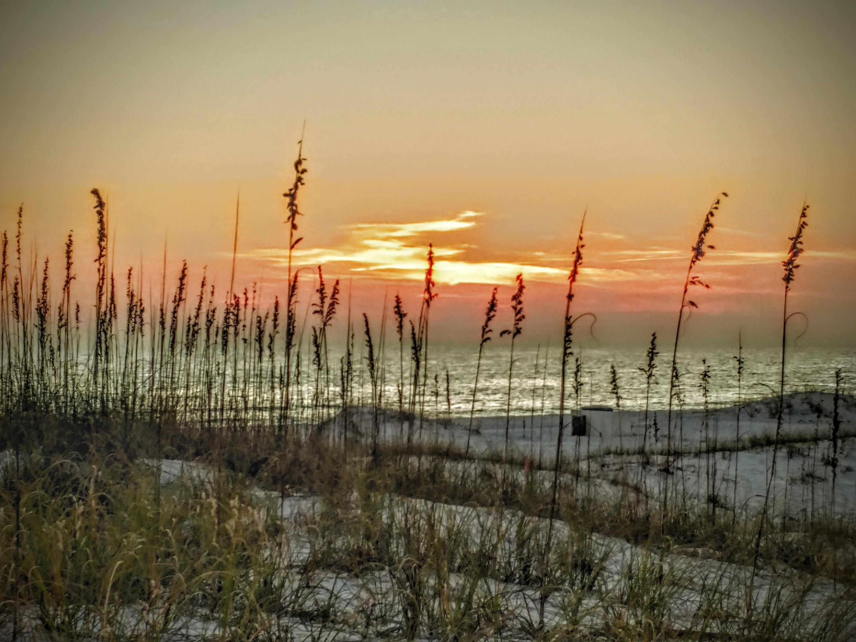 WATER OAKS T/H - Residential