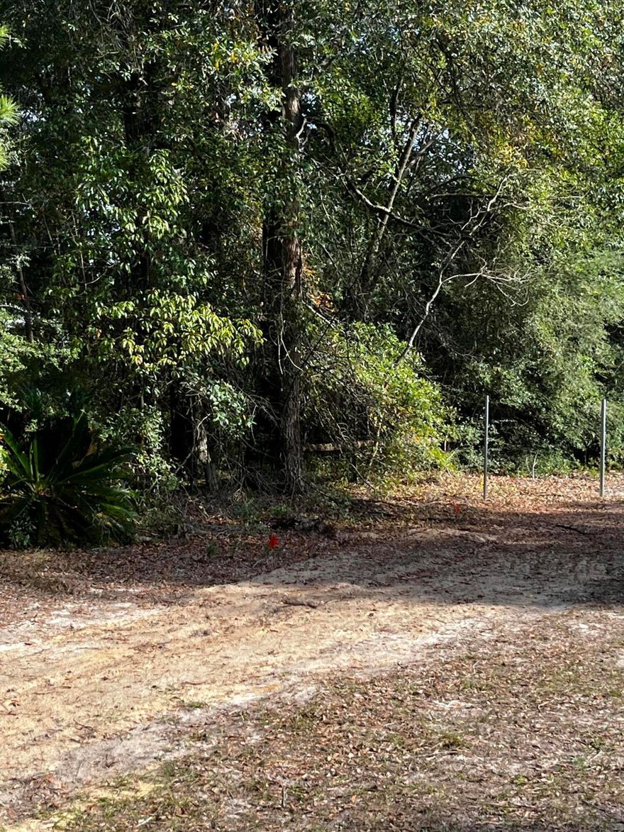 Nice lot inside the city limits of DeFuniak Springs.  Lot is on a paved street and very convenient to downtown and shopping. Walk the lake yard or go to the library at your leisure.
