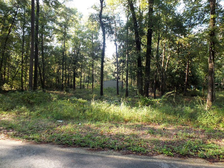 Nice buildable lot, approximately .45 acre, on the south side of Hinote Road with approximately 120' +/- of frontage on the Shoal River. Lot on the north side of the road is approximately .33 acre.