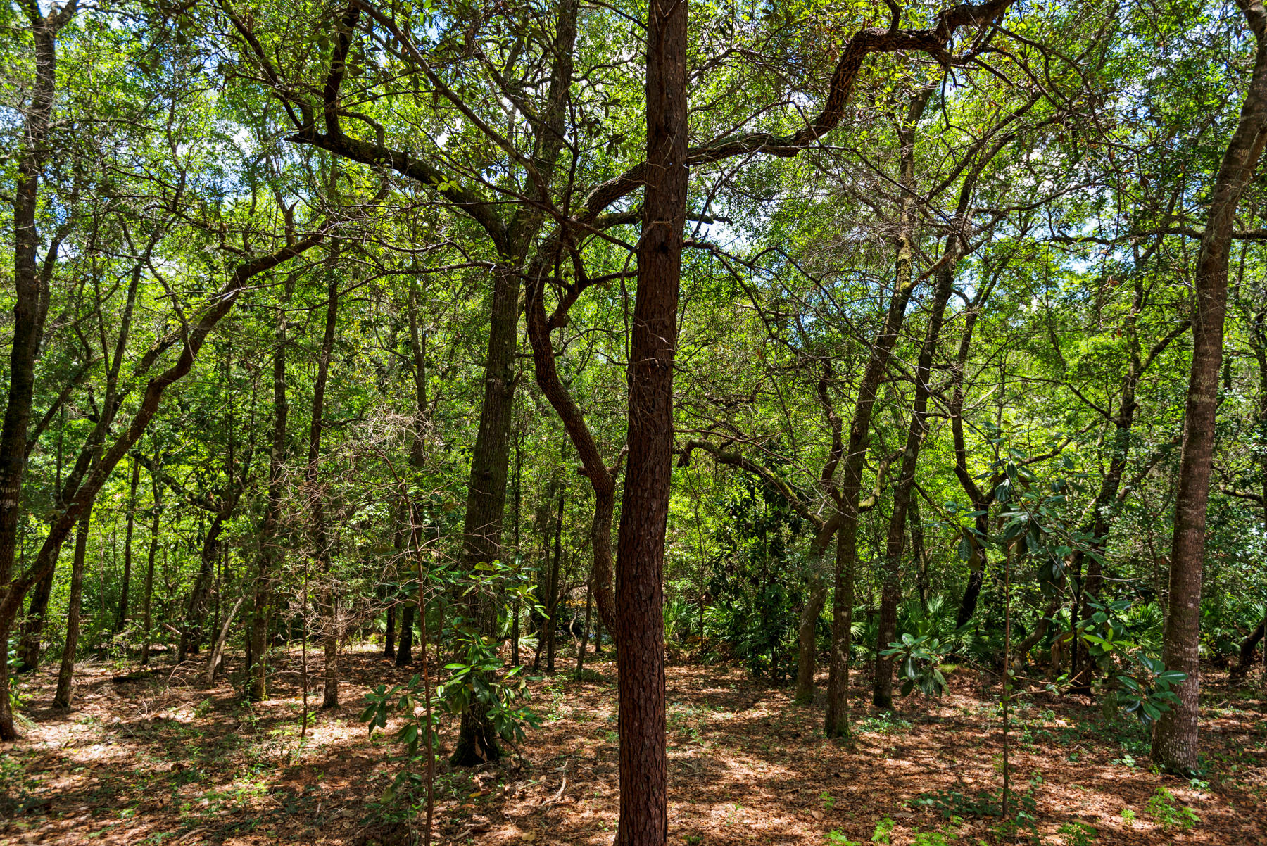 SWIFT CREEK PH 2 - Residential