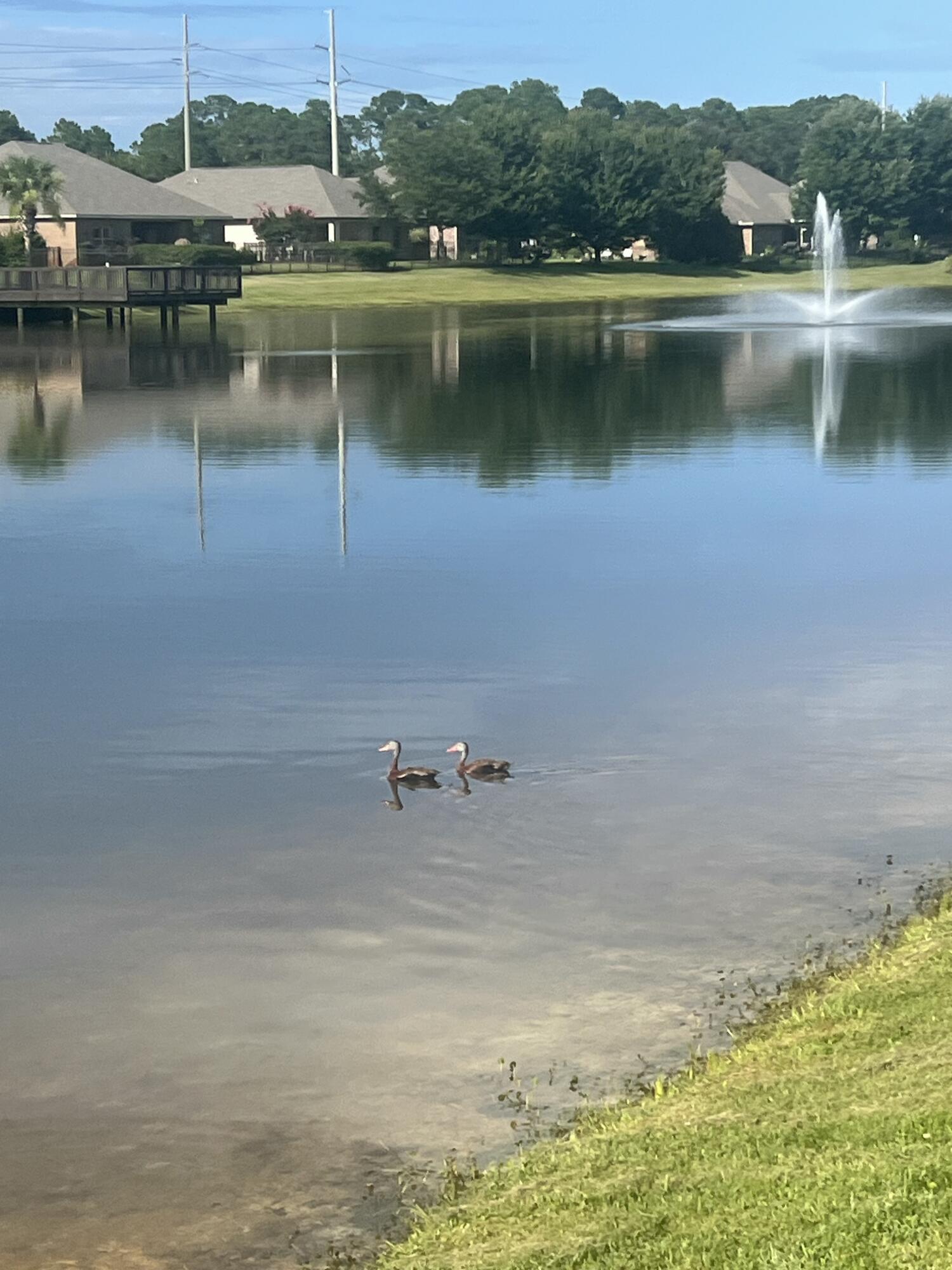 Whispering Lake - Residential