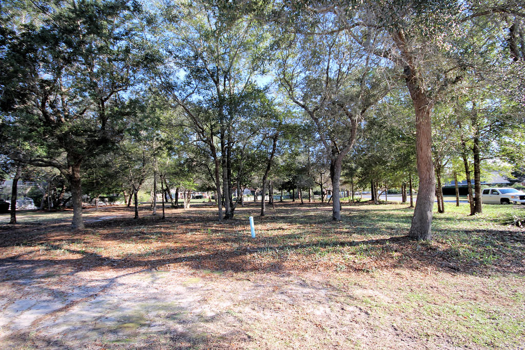 Magnolia Plantation At B/B lot 42 - Land