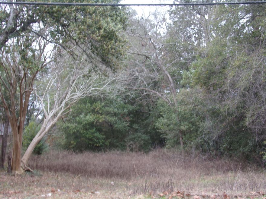 Level Corner .38 acre lot on paved road~ Nice lot for your new home~