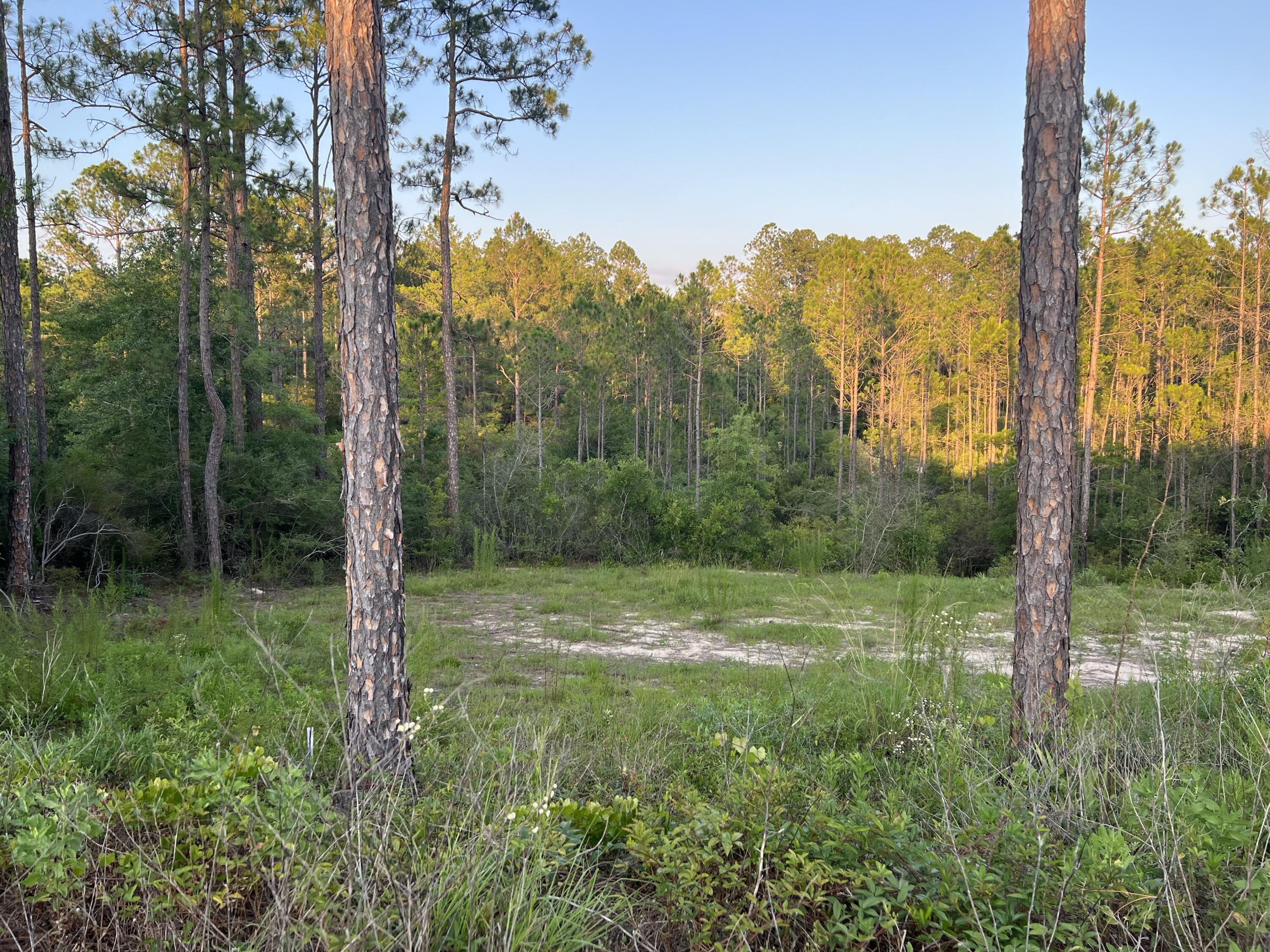 Bring your Floor plans today!!! Cleared Lot, Pad ready, Septic tank permit in hand!!! Auburn water and power available!Located a short distance of schools, shopping and a short drive to your local beaches.