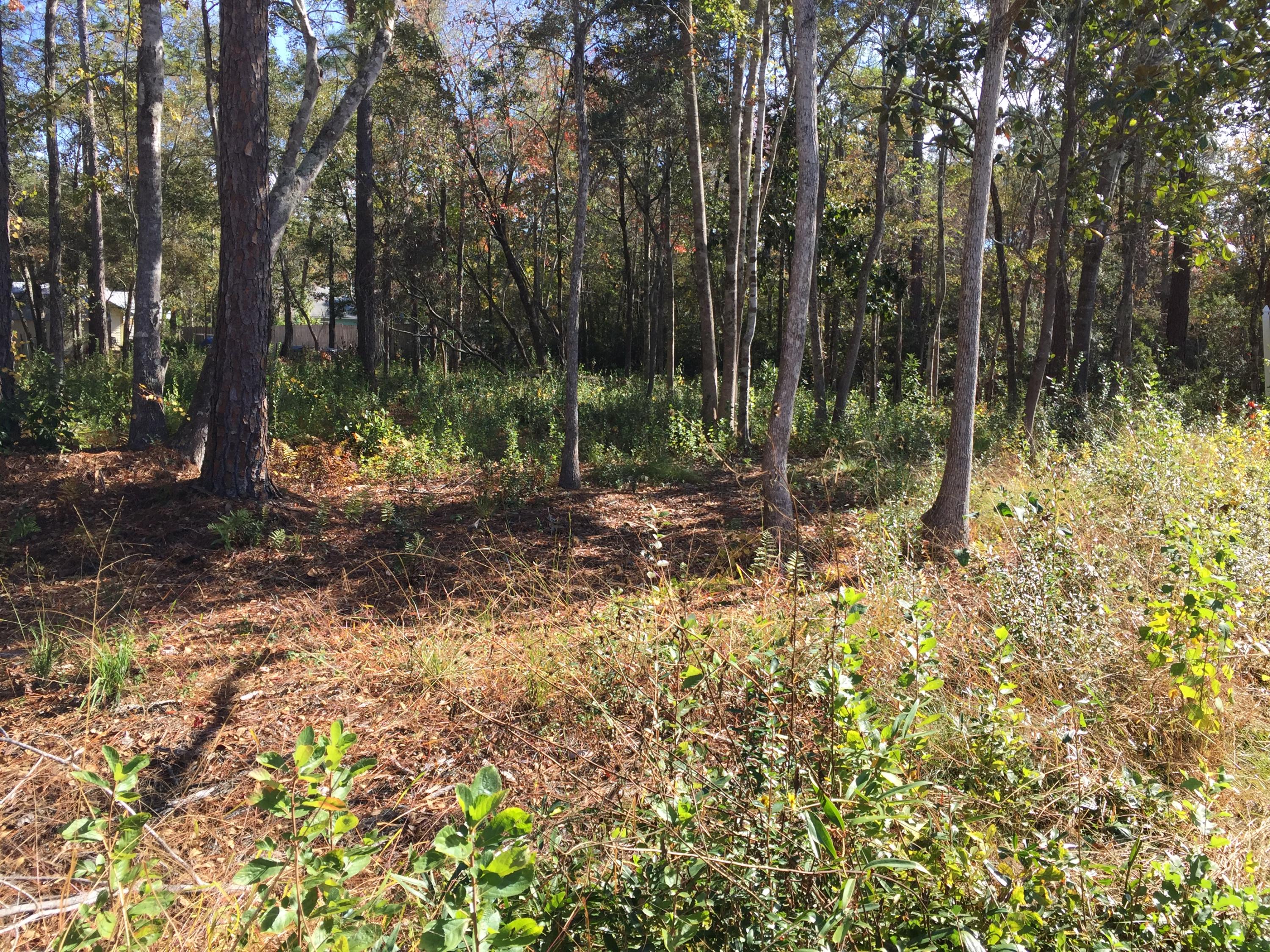 EMERALD SHORES - Land