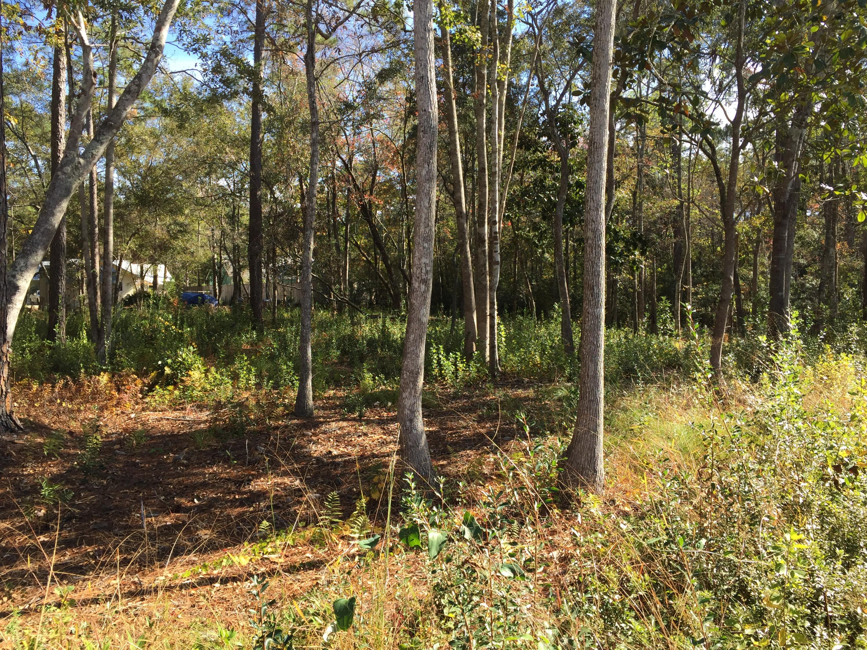 EMERALD SHORES - Land