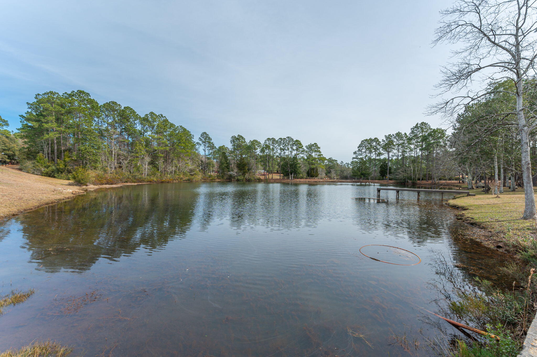 DEL CERRO VISTA - Residential