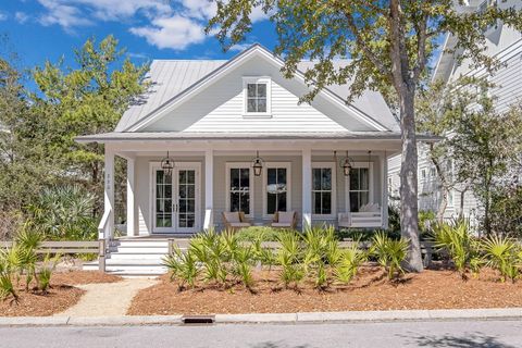 230 Needlerush Drive Santa Rosa Beach FL 32459